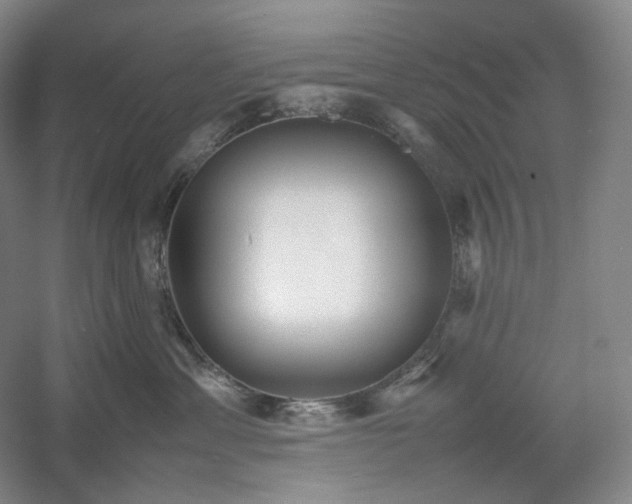 X0000054370429200508051600