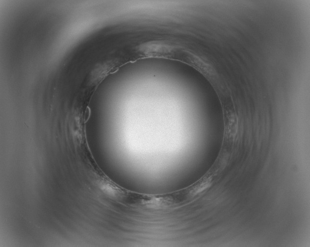 X0000054370430200508051600