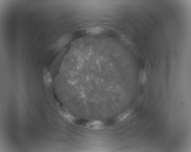 X0000054370431200508051600