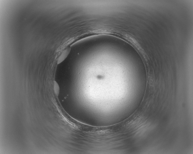 X0000054370433200508051559