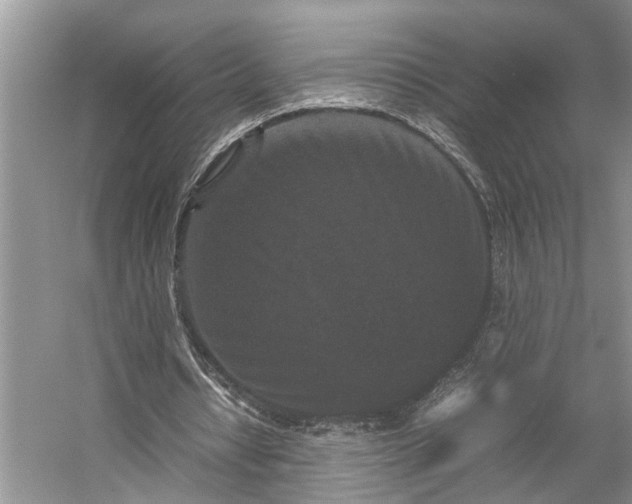 X0000054370434200508051559