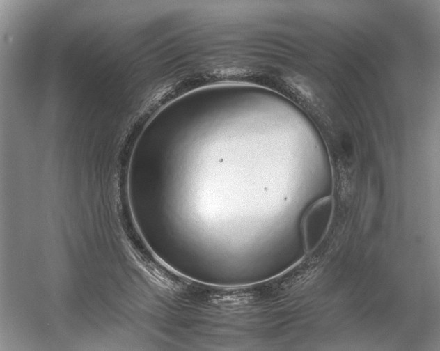 X0000054370447200508051559