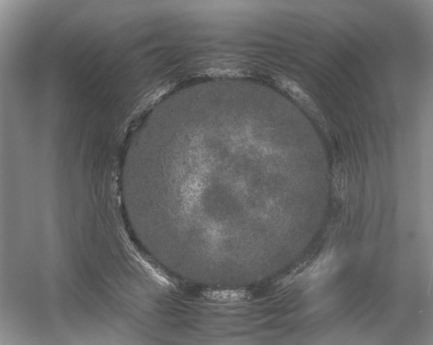 X0000054370449200508051559