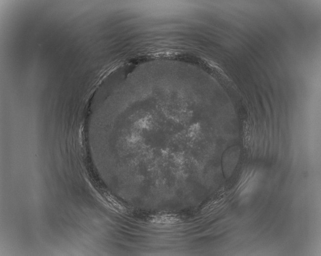 X0000054370451200508051559