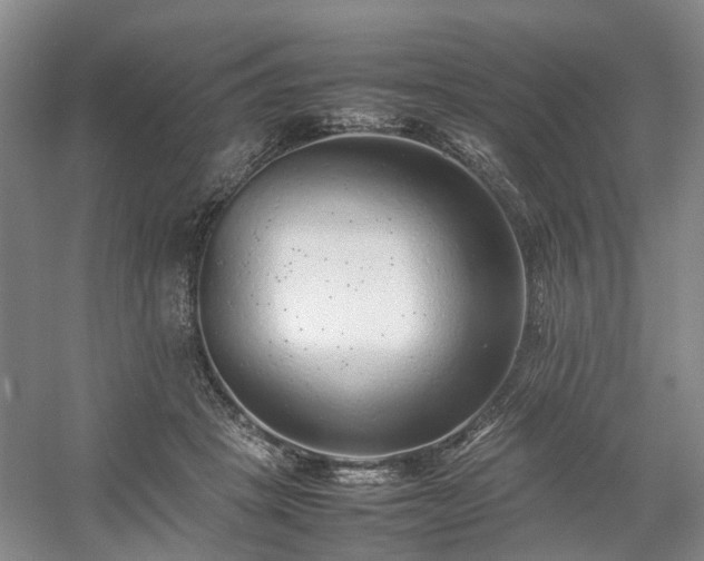 X0000054370457200508051559