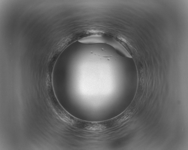 X0000054370459200508051559