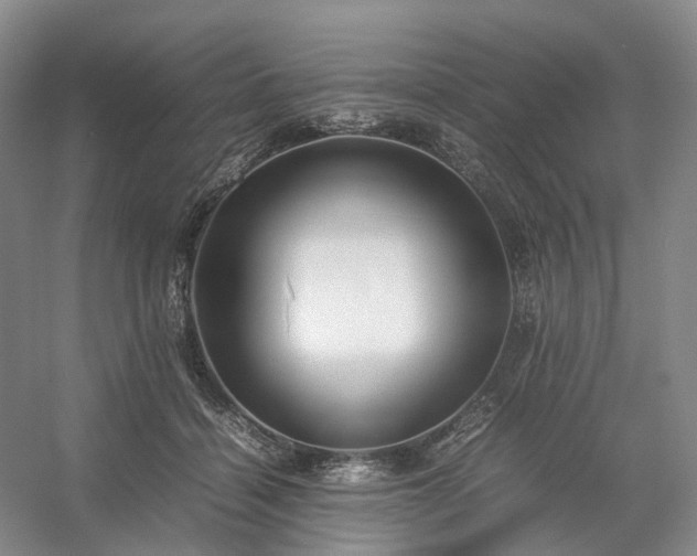 X0000054370460200508051559