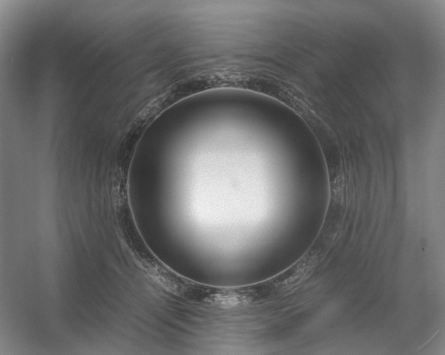 X0000054370464200508051559