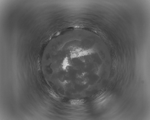 X0000054370465200508051559