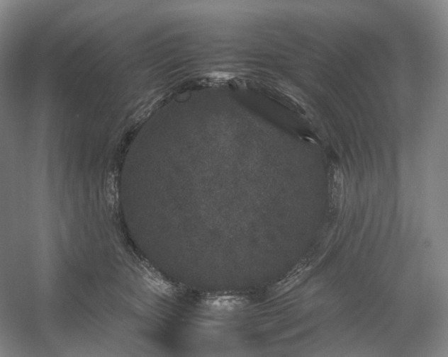 X0000054370467200508051600