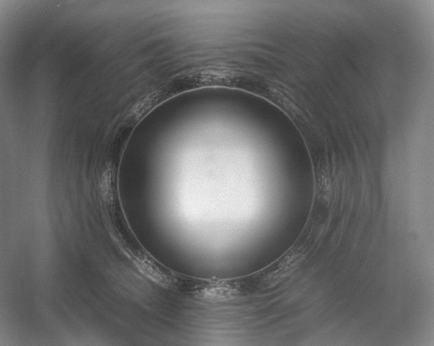 X0000054370468200508051600