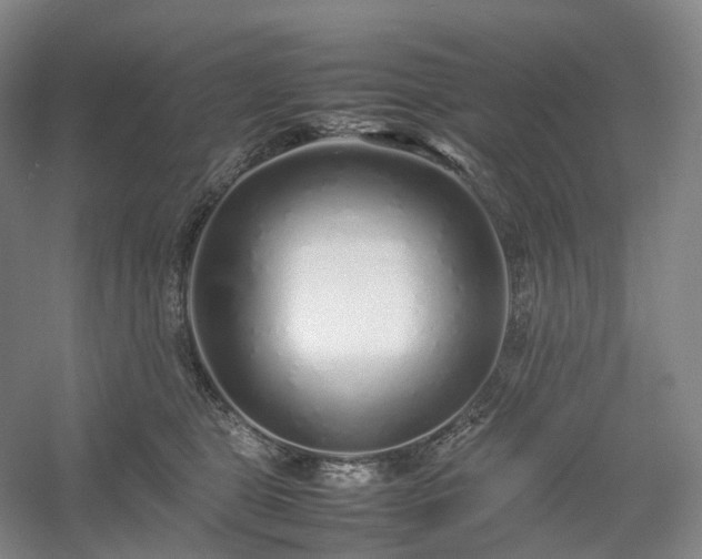 X0000054370469200508051600