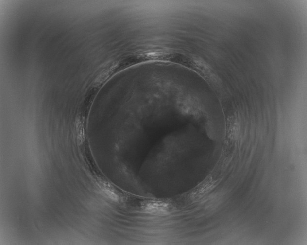 X0000054370471200508051600