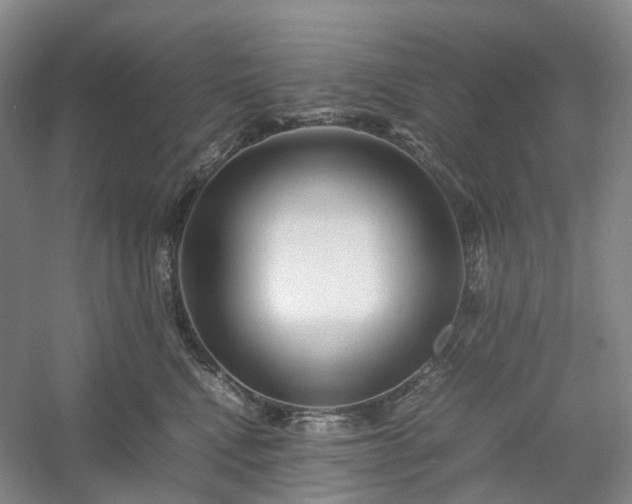 X0000054370472200508051600