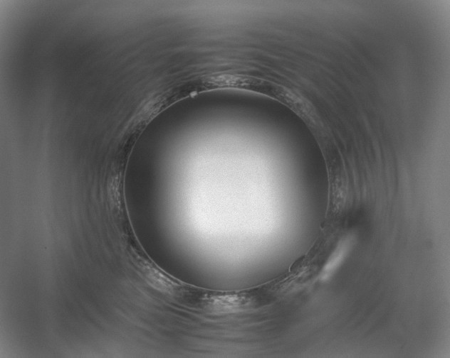 X0000054370473200508051600