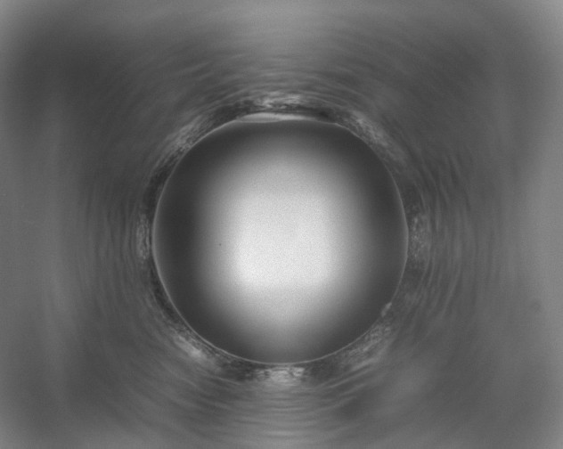 X0000054370474200508051600