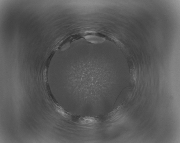 X0000054370475200508051600