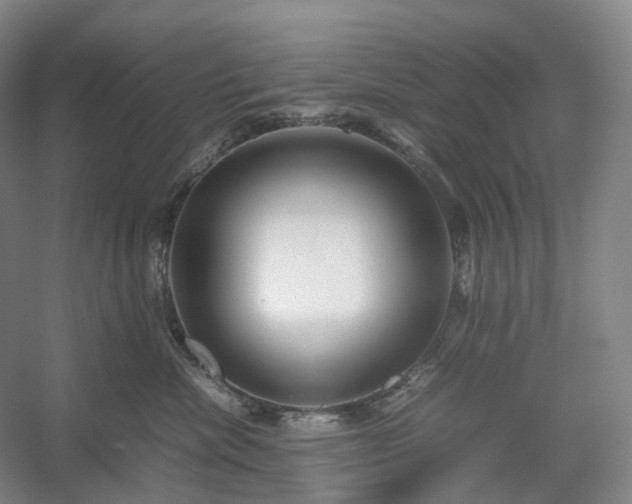 X0000054370476200508051600