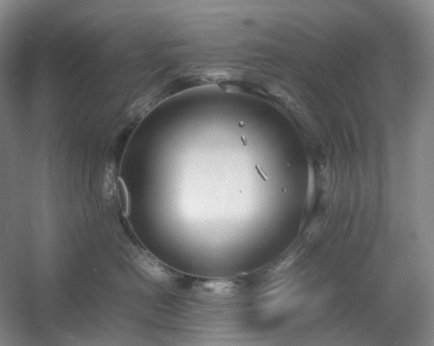 X0000054370478200508051600