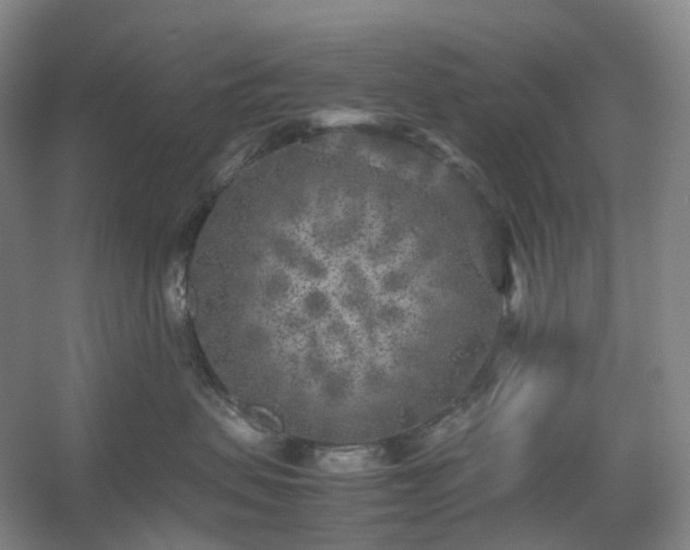 X0000054370479200508051600