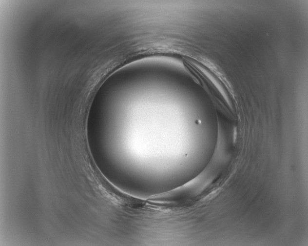 X0000054370481200508051559