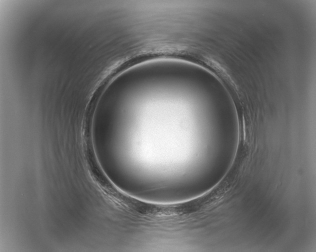 X0000054370483200508051559