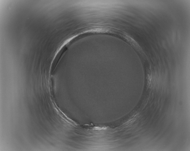 X0000054370484200508051559