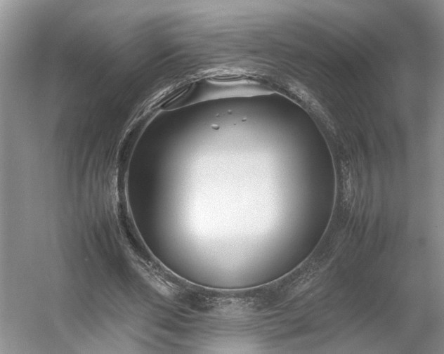 X0000054370486200508051559