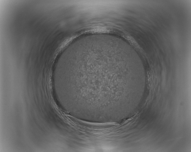 X0000054370487200508051559