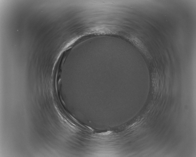 X0000054370488200508051559