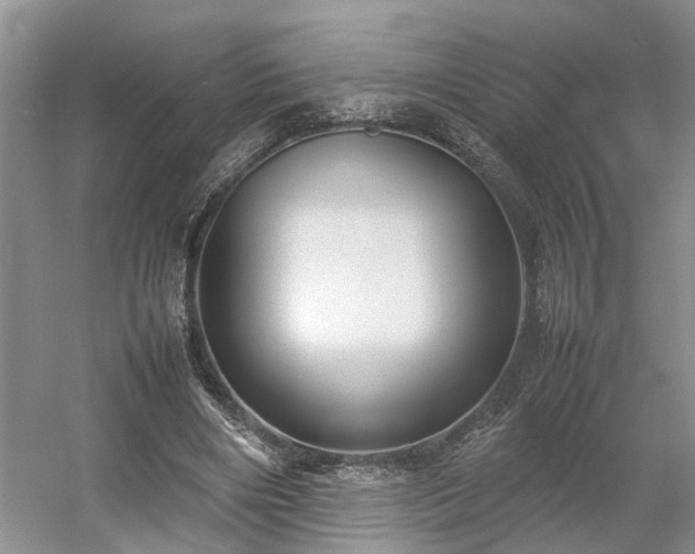 X0000054370490200508051559