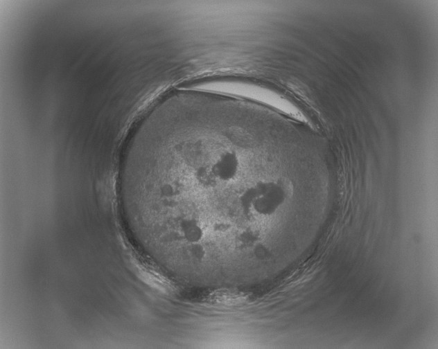 X0000054370491200508051559