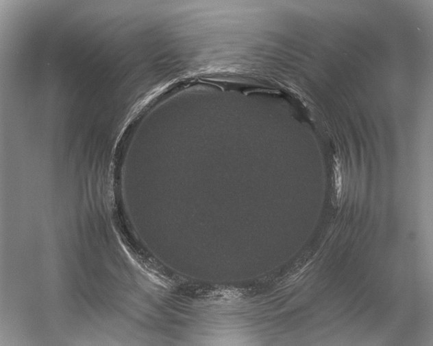 X0000054370492200508051559