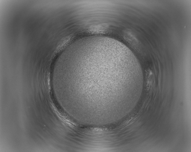 X0000054370494200508051559