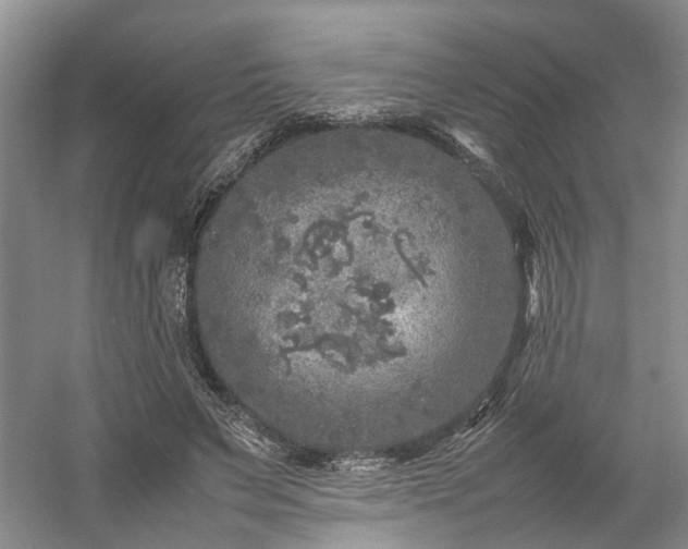 X0000054370495200508051559