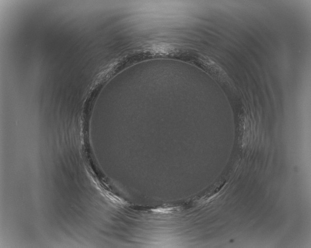 X0000054370496200508051559