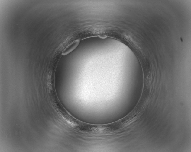 X0000054370497200508051559