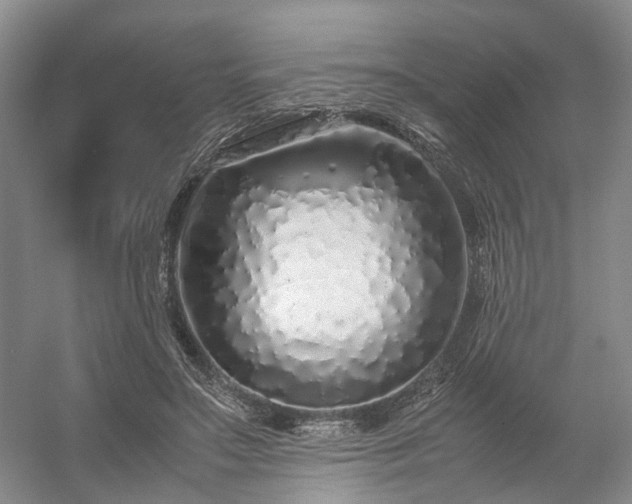 X0000054370499200508051559