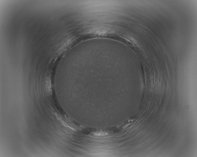 X0000054370500200508051559