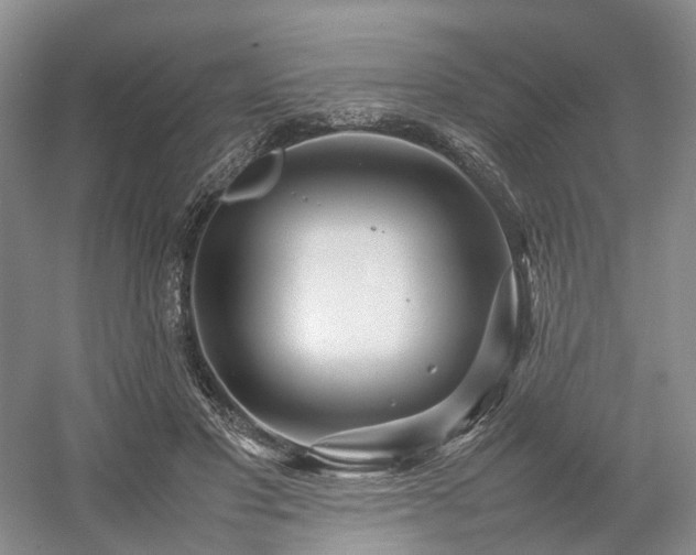 X0000054370501200508051559