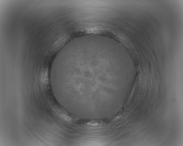 X0000054370502200508051559