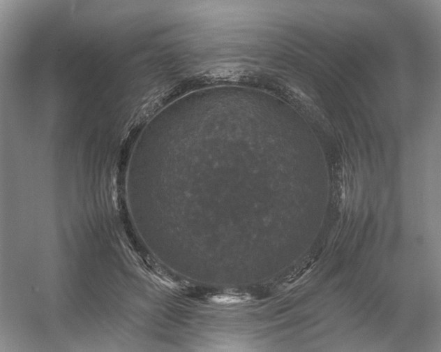 X0000054370504200508051559