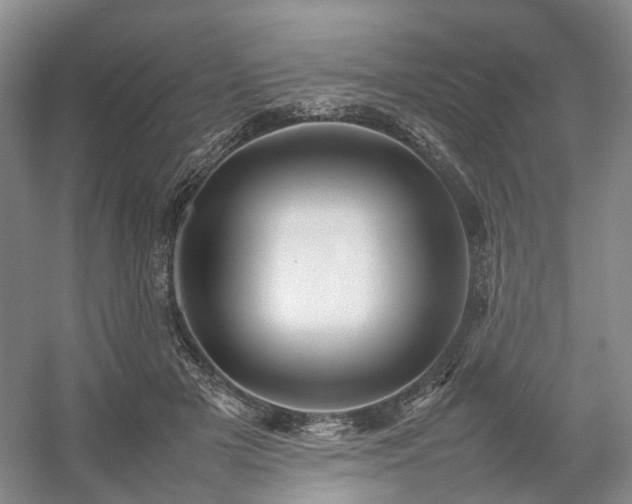 X0000054370505200508051559