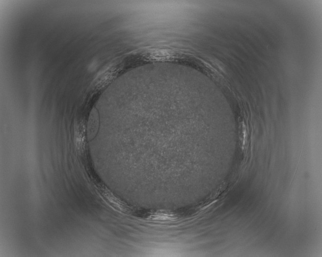 X0000054370507200508051558