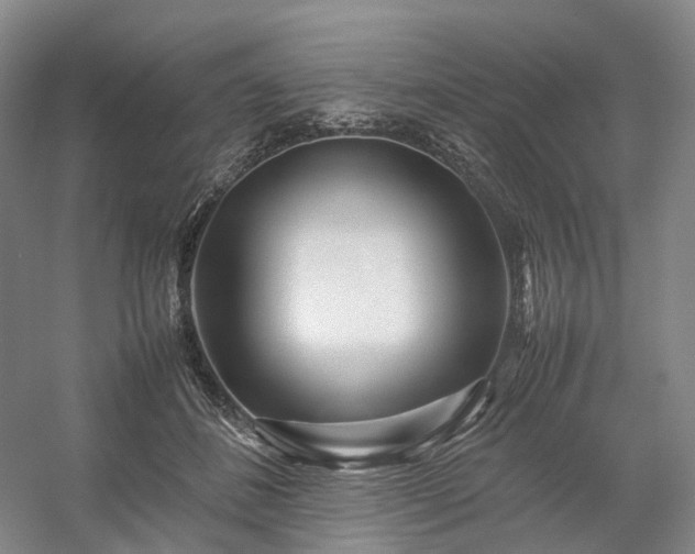 X0000054370508200508051558