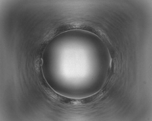 X0000054370509200508051558