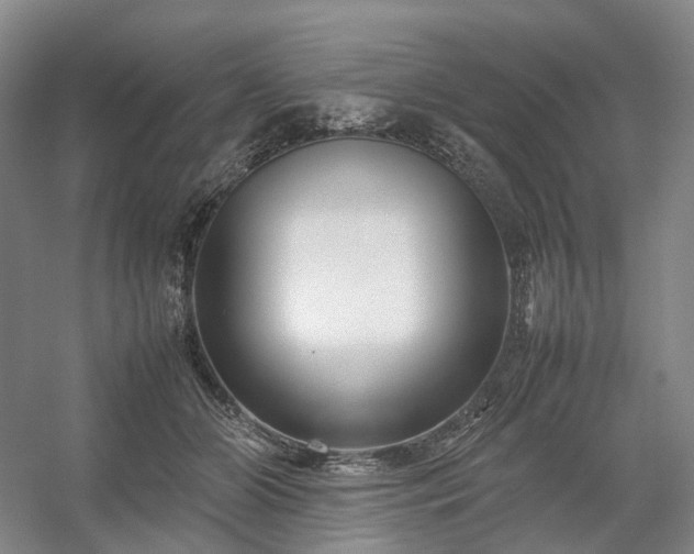 X0000054370510200508051558