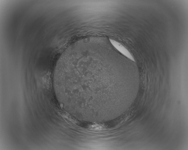 X0000054370511200508051558