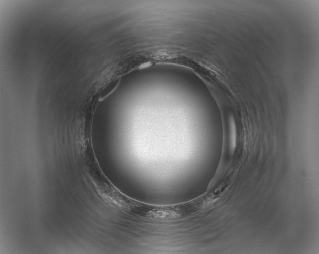 X0000054370512200508051558