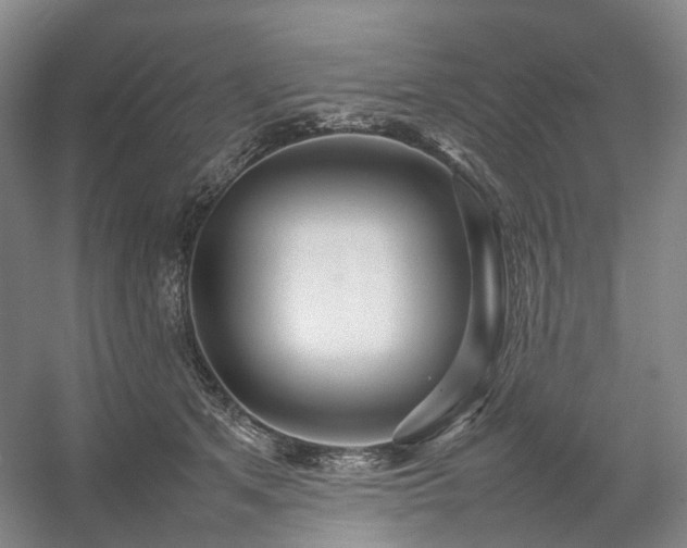 X0000054370513200508051558